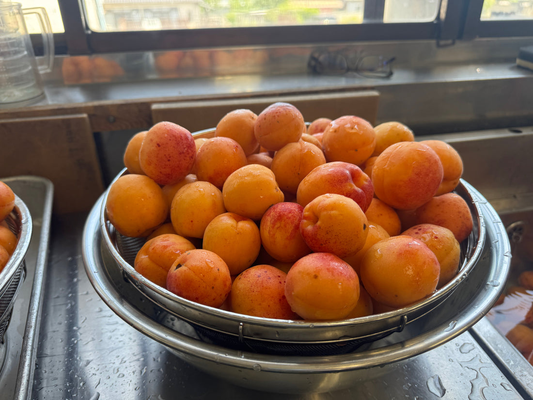 🍊1年に一回の杏ピューレづくりをしました✨
