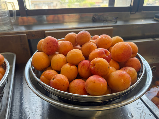 🍊1年に一回の杏ピューレづくりをしました✨