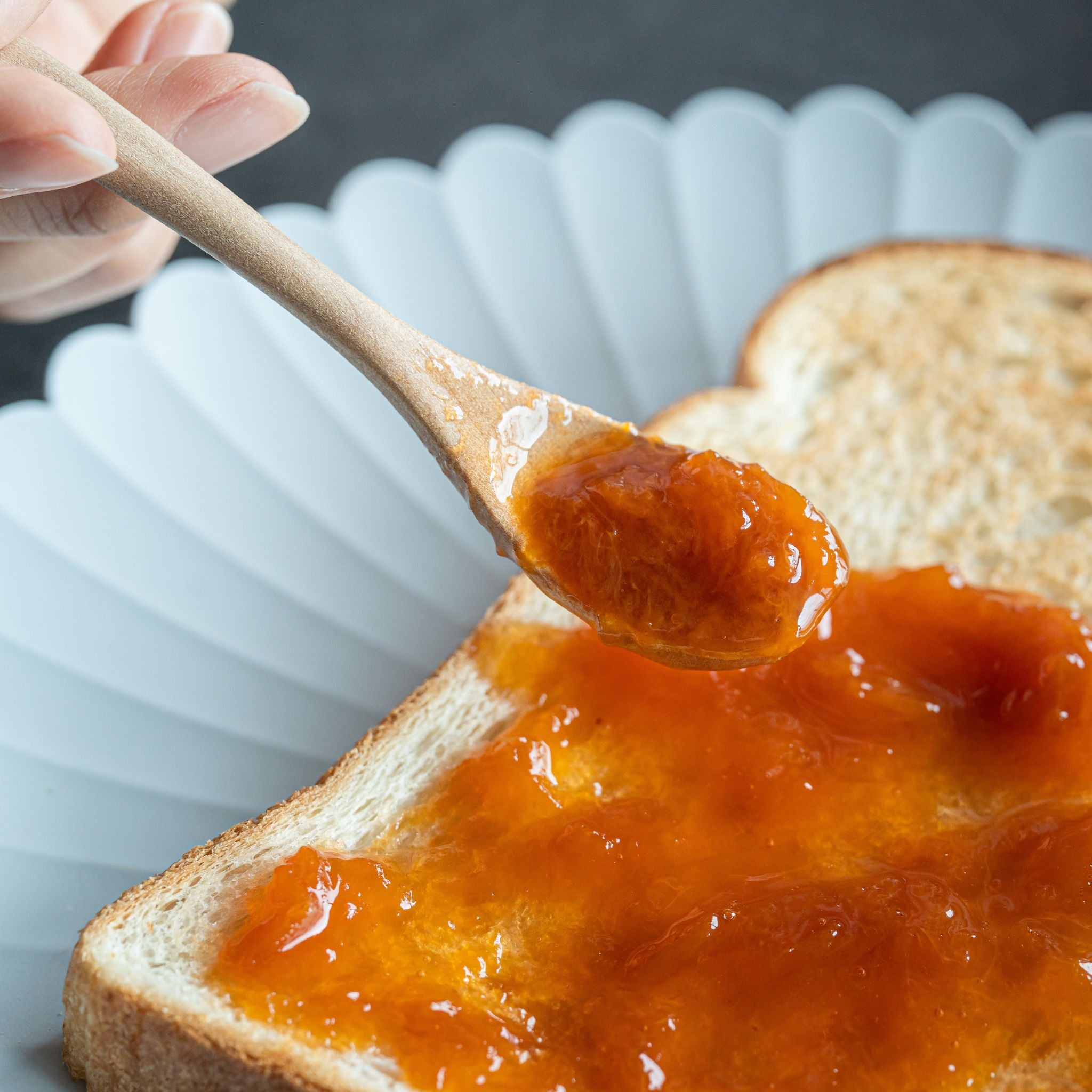 手づくり杏じゃむ｜長野産あんず100％使用 – 信州のみそ蔵【新田醸造】